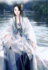 无巧不成宠